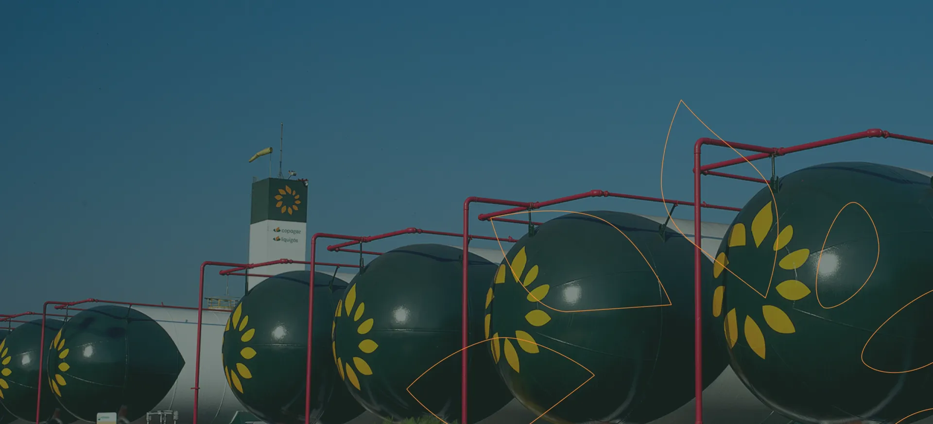 Banner Flexgas