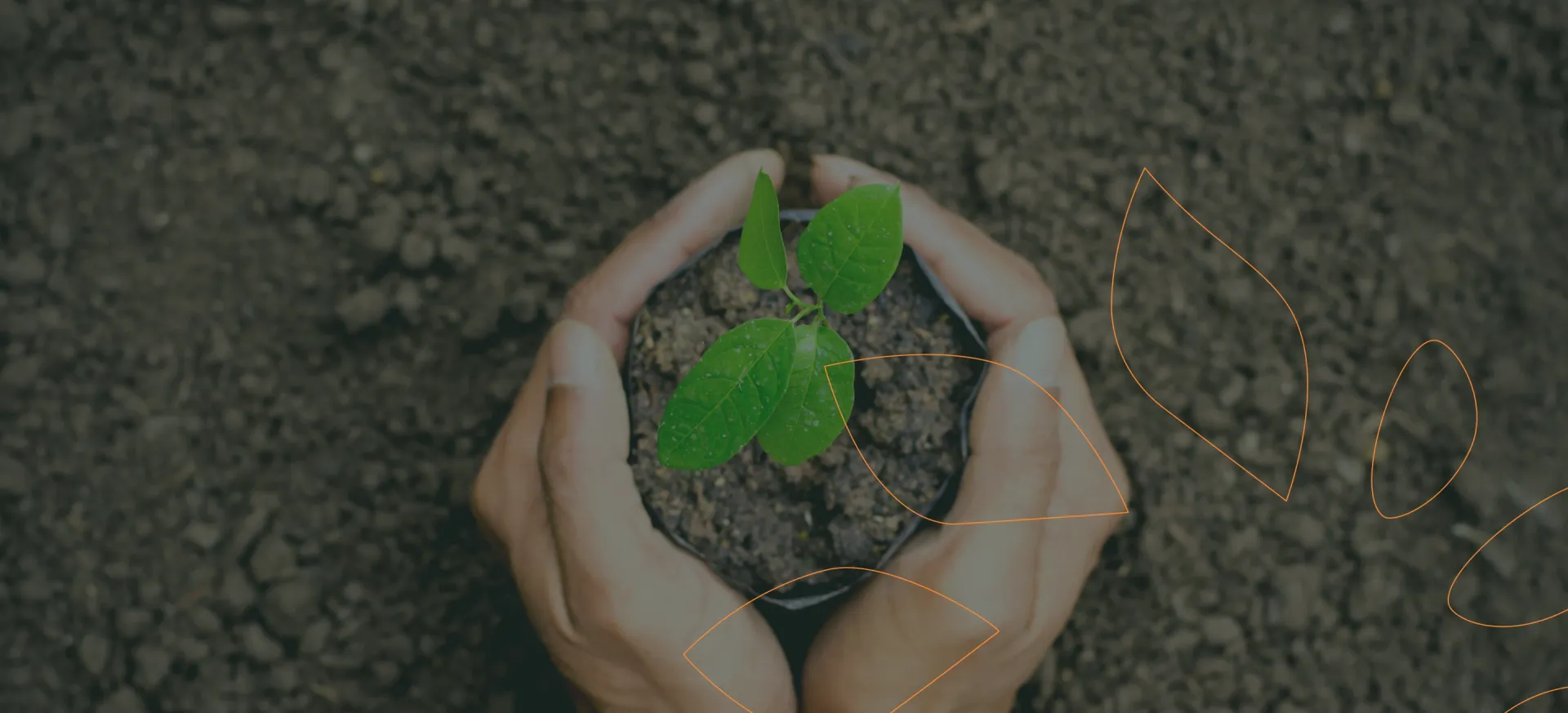 Mãos sob a terra, segurando uma pequena muda de planta