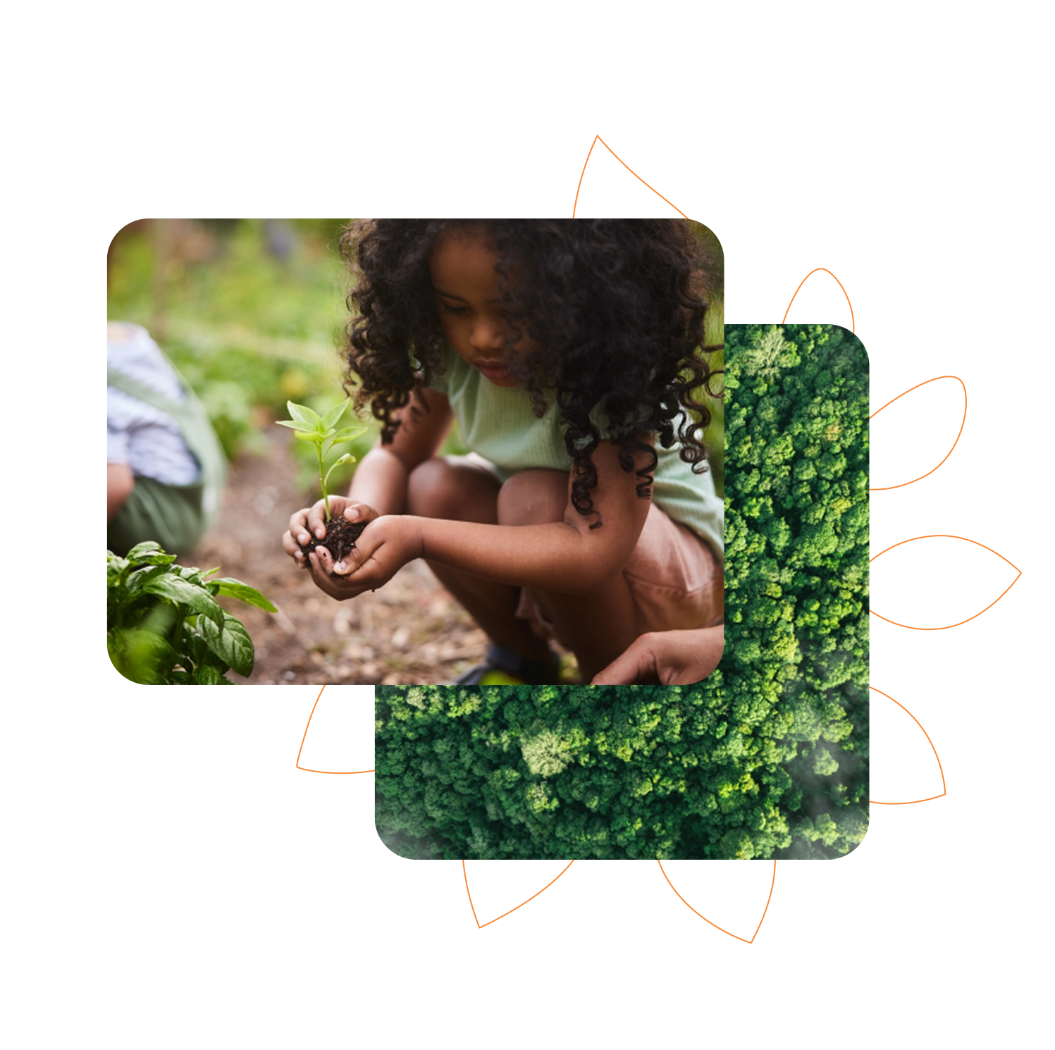 Criança plantando uma muda no solo, com mãos segurando a planta. Ao lado, uma imagem de vista aérea de uma floresta