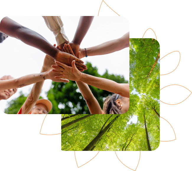 Mãos de várias pessoas unidas em um círculo. Ao lado, uma imagem de baixo para cima de árvores em uma floresta
