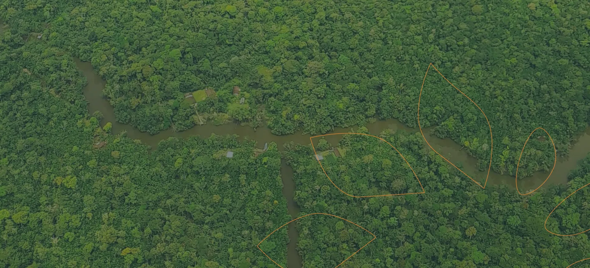 Vista aérea de uma floresta, com um rio passando em meio às árvores