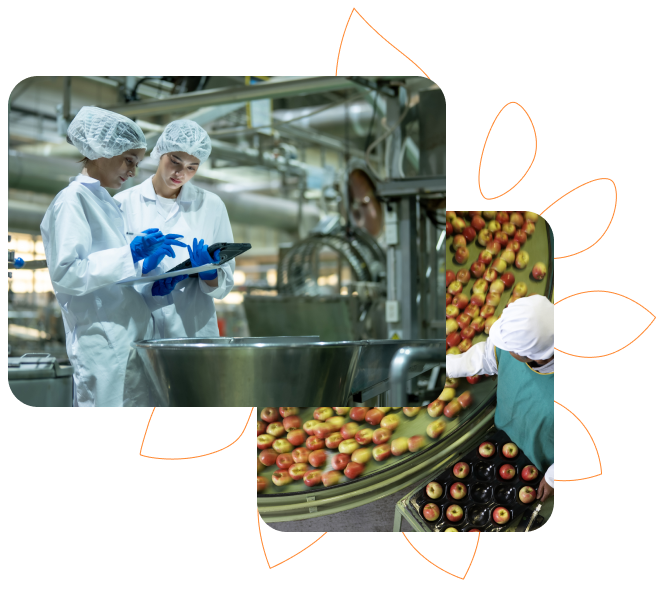 Imagens da GLP para indústria de alimentos