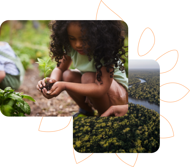 Uma menina cuidando de uma planta em um jardim. Ao lado, uma imagem aérea de uma floresta.