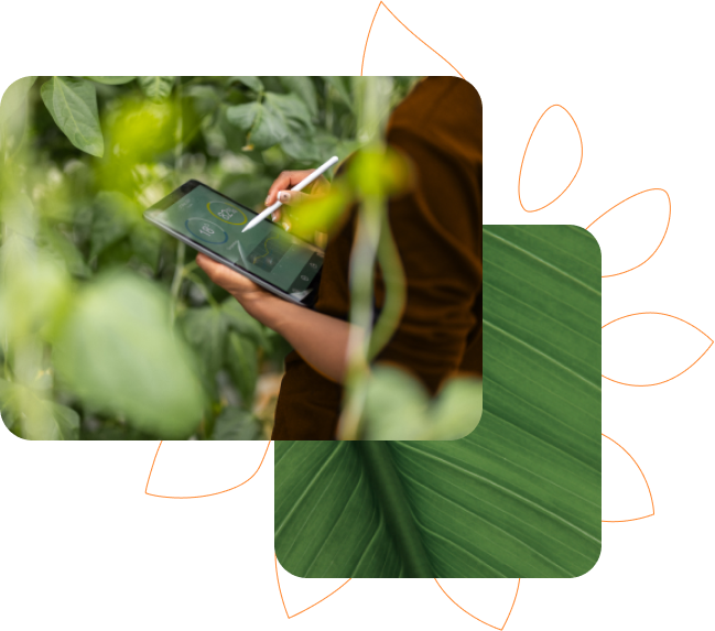 Pessoa usando um tablet em meio a plantas no campo. Ao lado, uma imagem da textura de uma folha verde